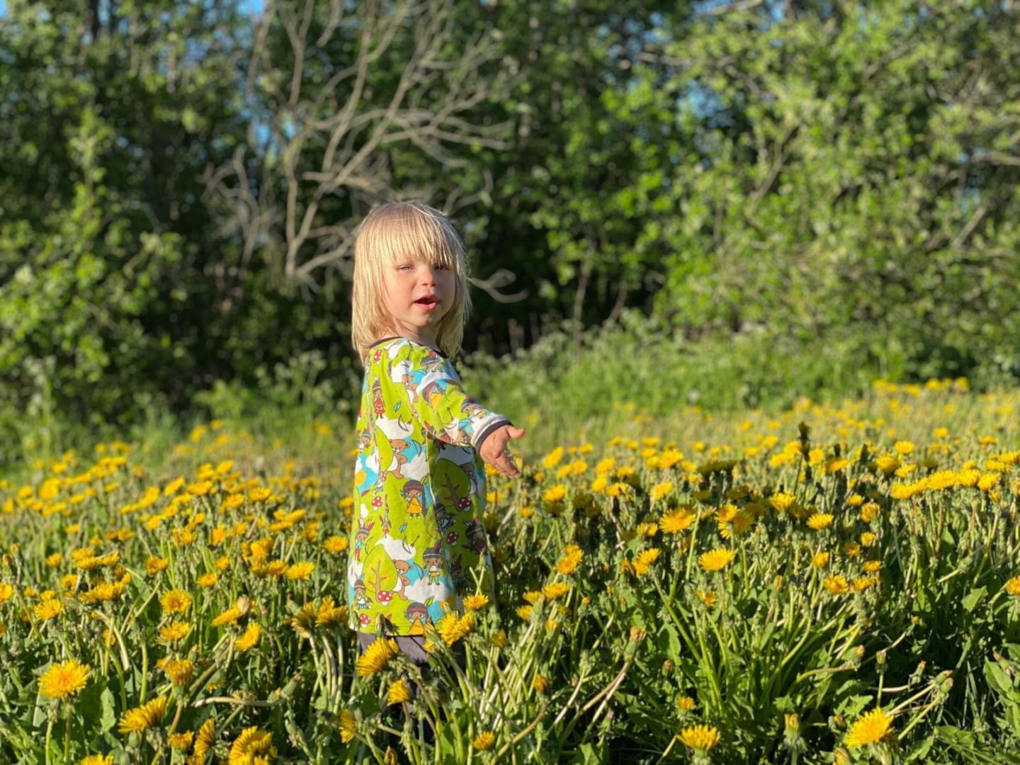 Vaaleahiuksinen lapsi seisoo keltaisella kukkapellolla.