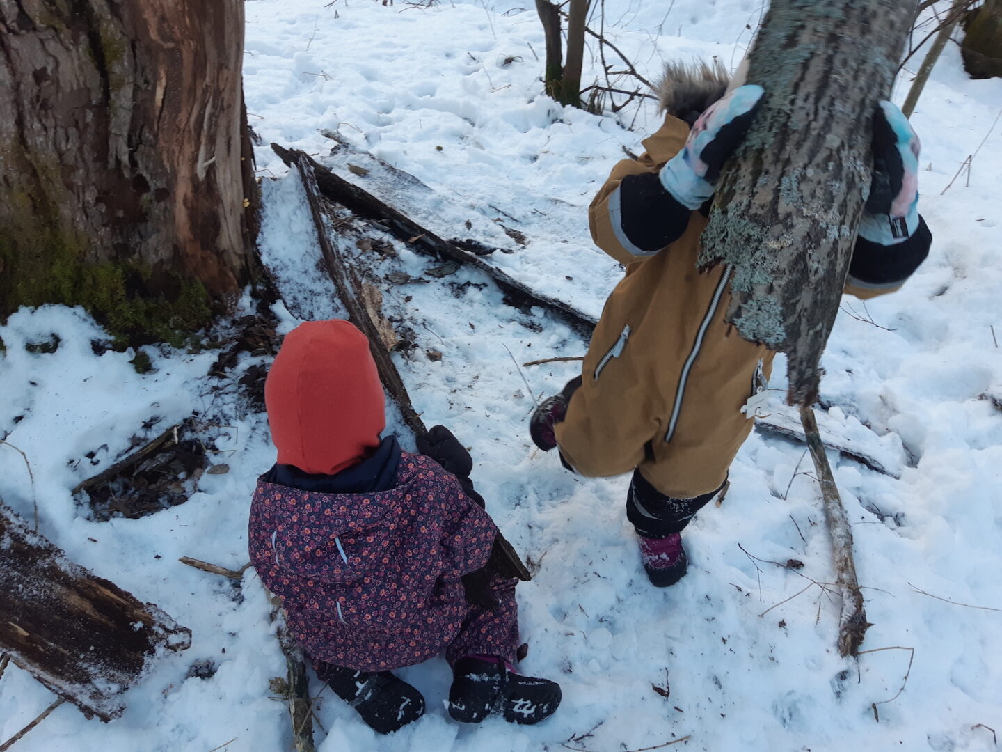 Kaksi lasta metsässä leikkimässä.