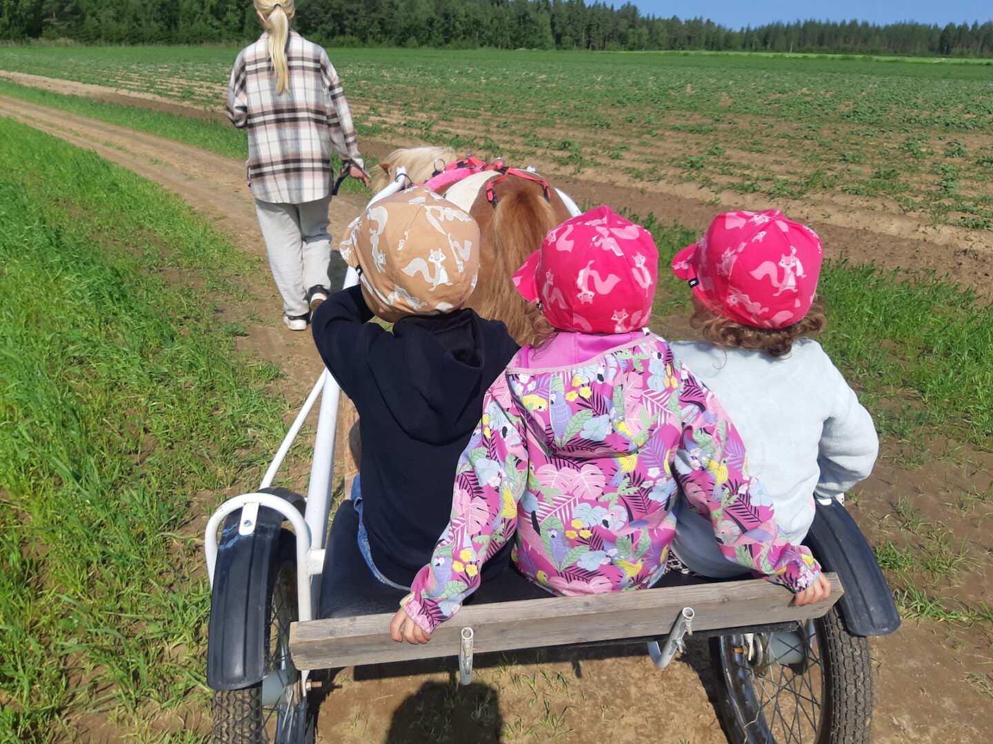 Kolme lasta ponikärryssä.