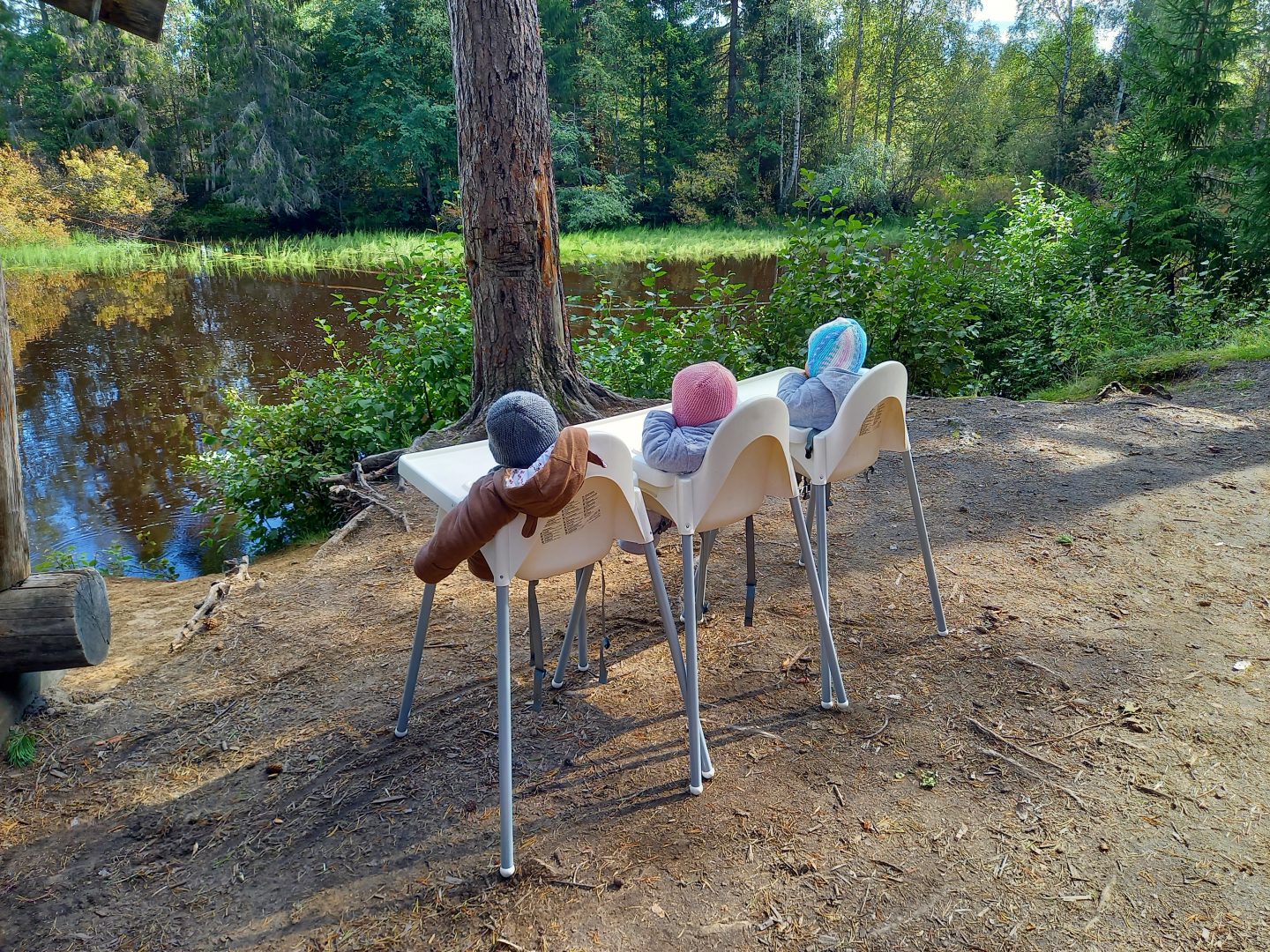 Kolmosvauvat istumassa syöttötuoleissa metsässä joen rannalla. Kuva takaapäin.