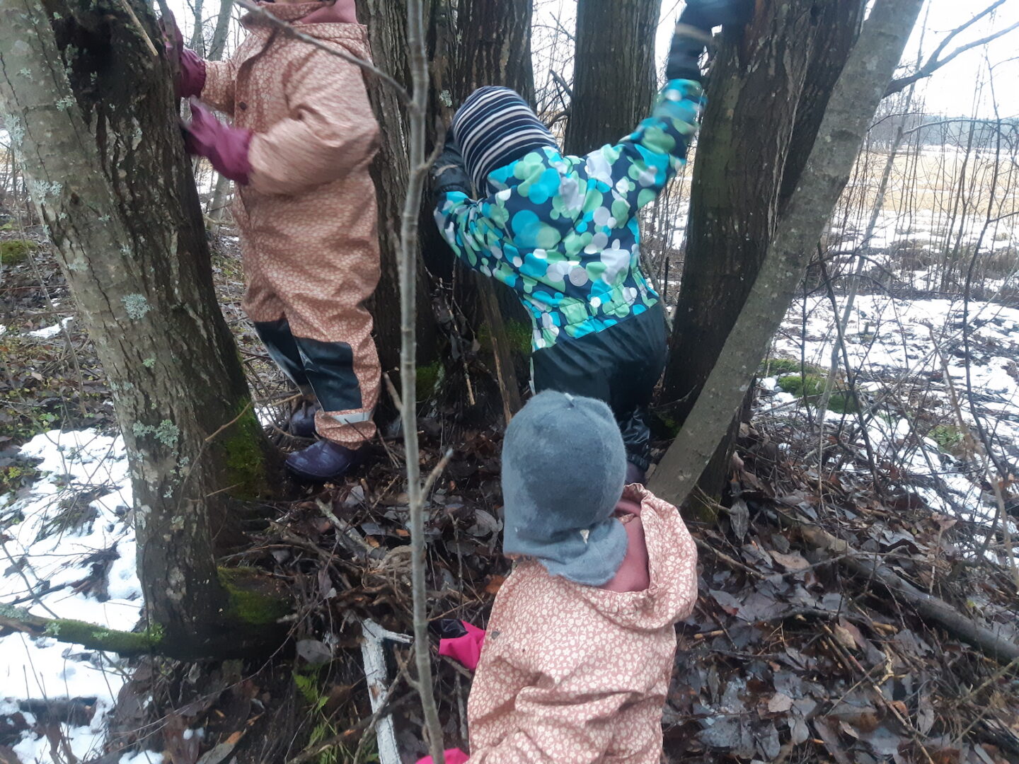 Kolme lasta metsässä.