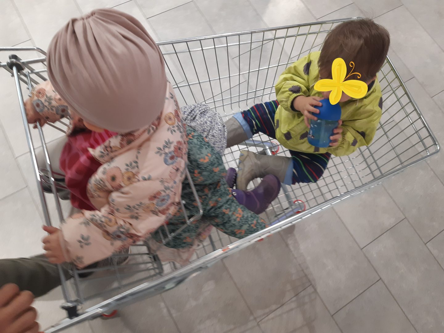 Kolme lasta ostoskärryissä.