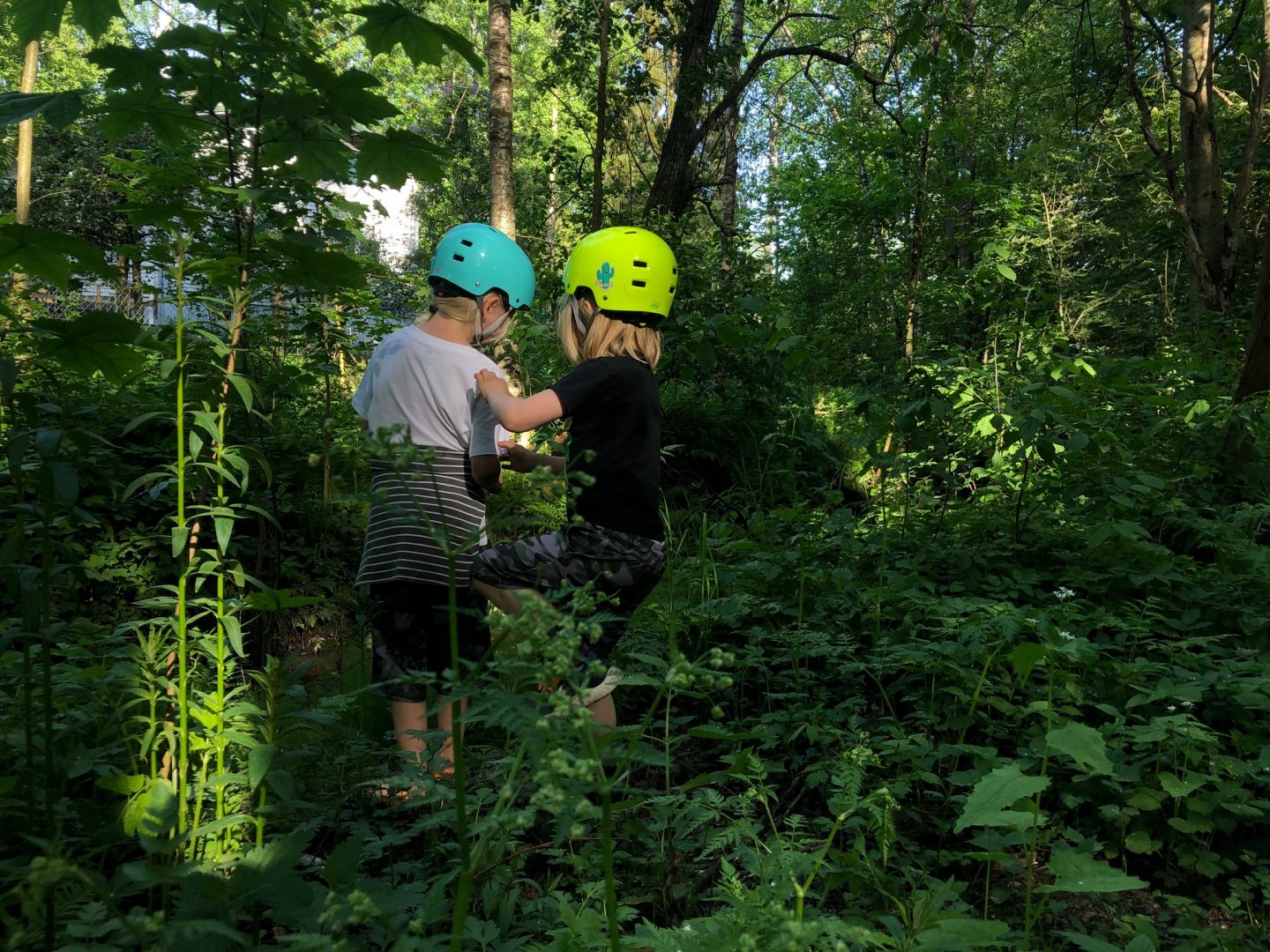 Kaksi lasta metsässä