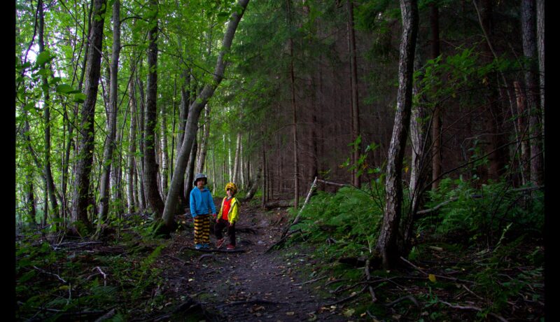 ”Ei vaikutusta” eli esikoulukokeilu Suomessa onnistui yli odotusten – yksi vuosi eskaria on parempi kuin kaksi