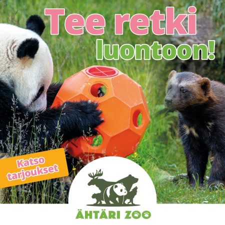 Ähtäri Zoon mainos, jossa panda leikkii pallolla ja ahma seuraa vieressä.