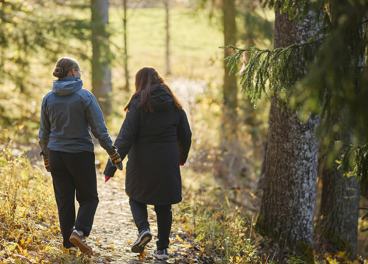 Kaksi naista kävelee metsässä selin kameraan. Heidän takanaan on kaunis valo.