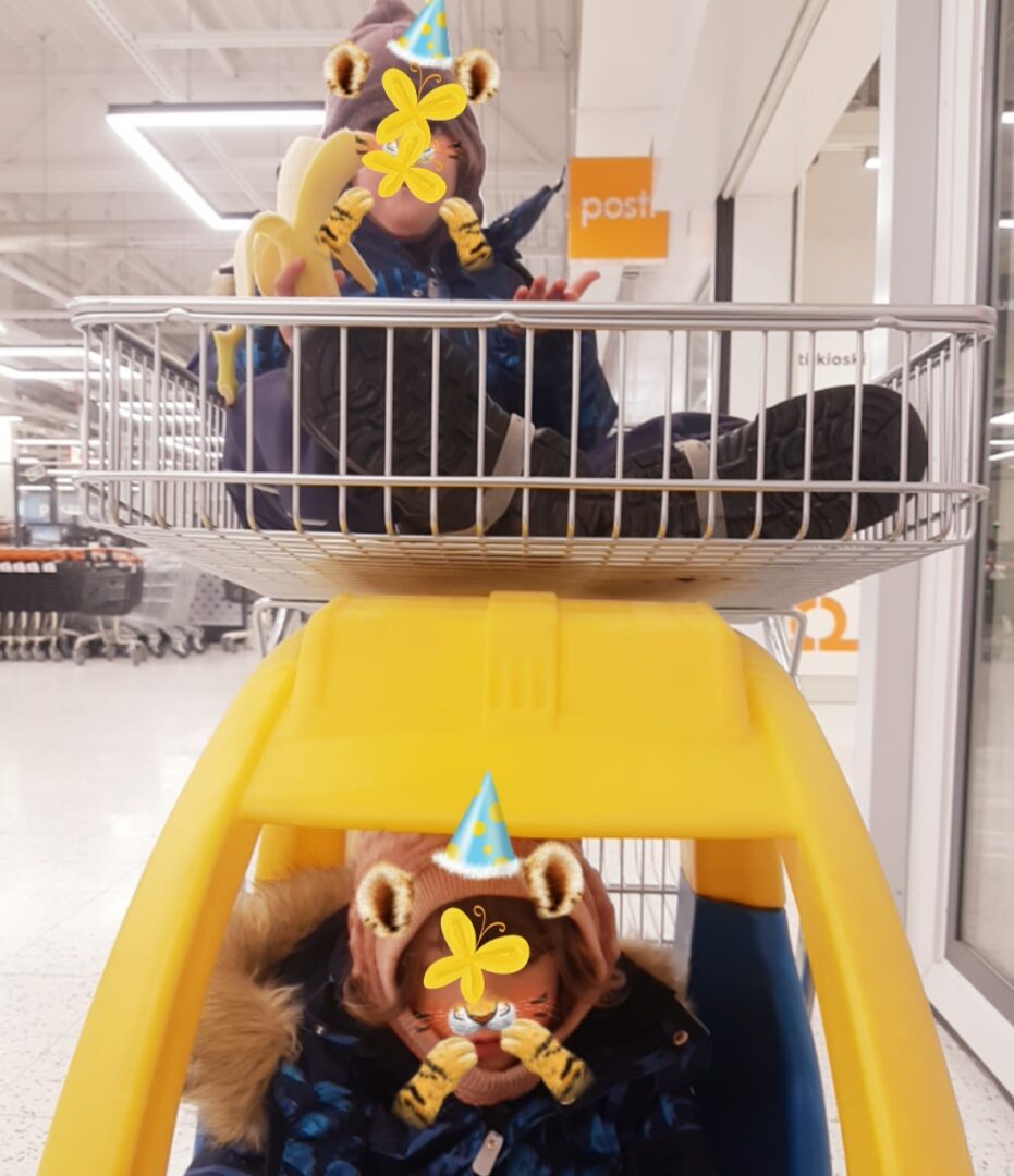 Kaksi lasta ostoskärryssä.