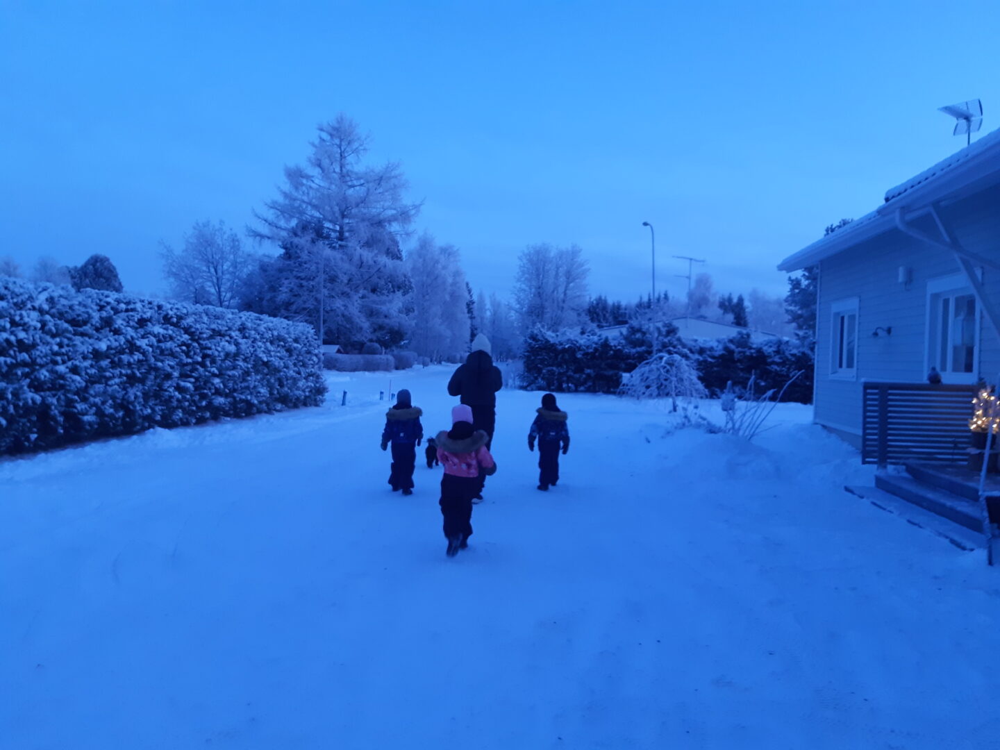 Kolme lasta ja aikuinen ulkoiluttamassa koiraa.