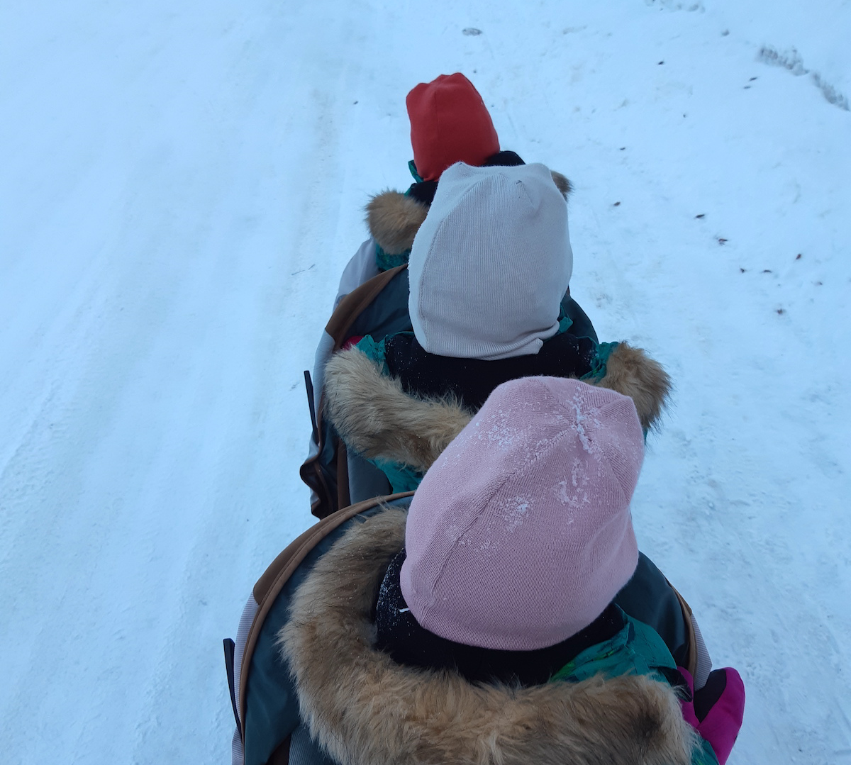 Kolme lasta kärryssä.