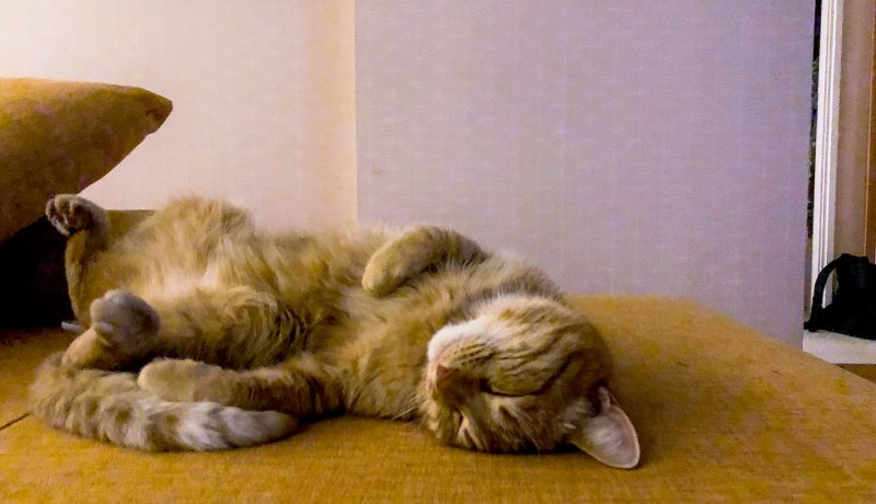 Etusivu Lapsen Maailma Etusivu Lapsen Maailma