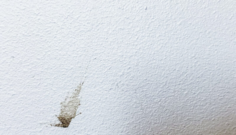 Tylsyyttä ei välttämättä tarvitse sietää, se voi olla oikein mukavaa